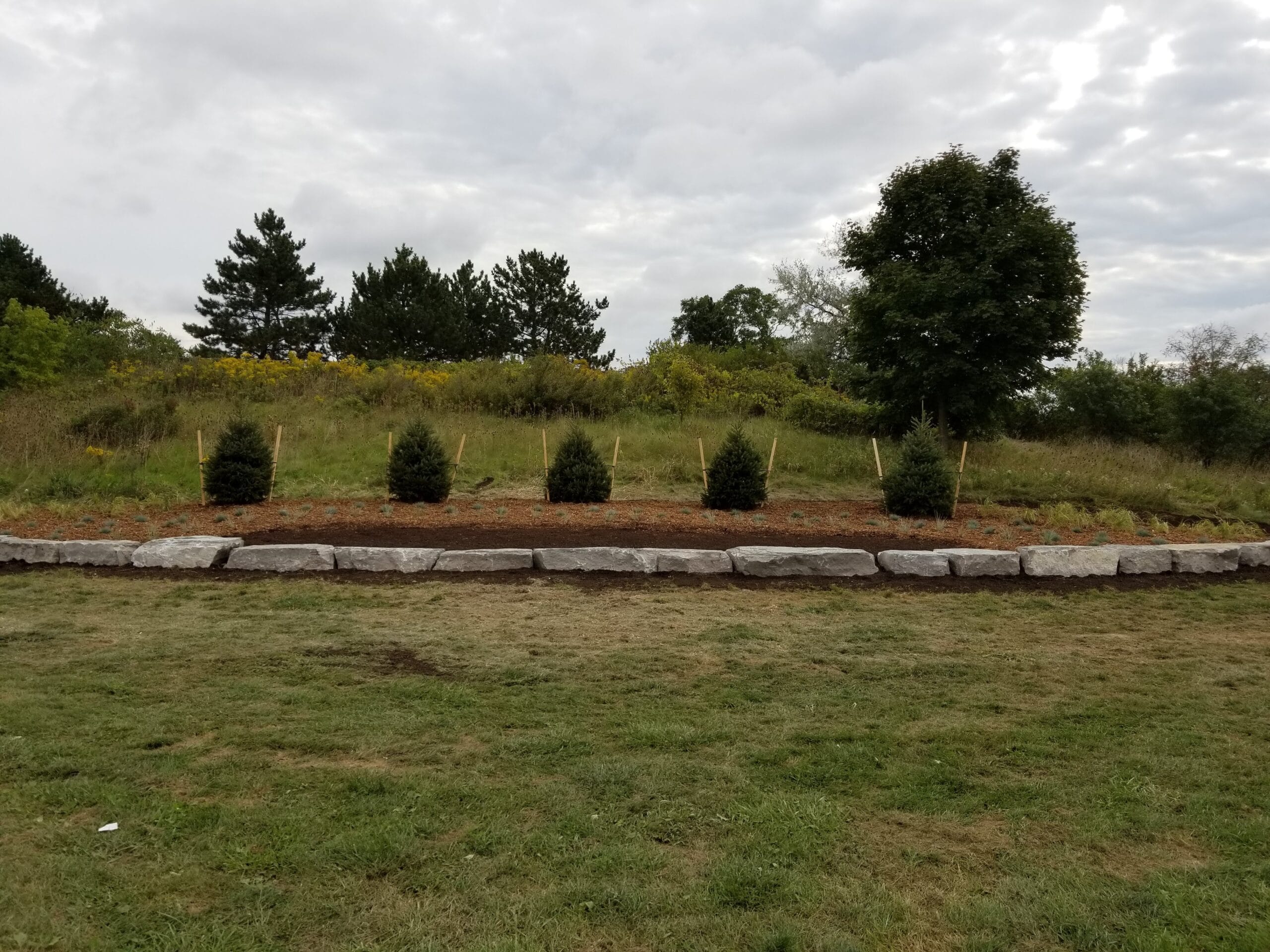 Municipal armour stone garden bed with trees