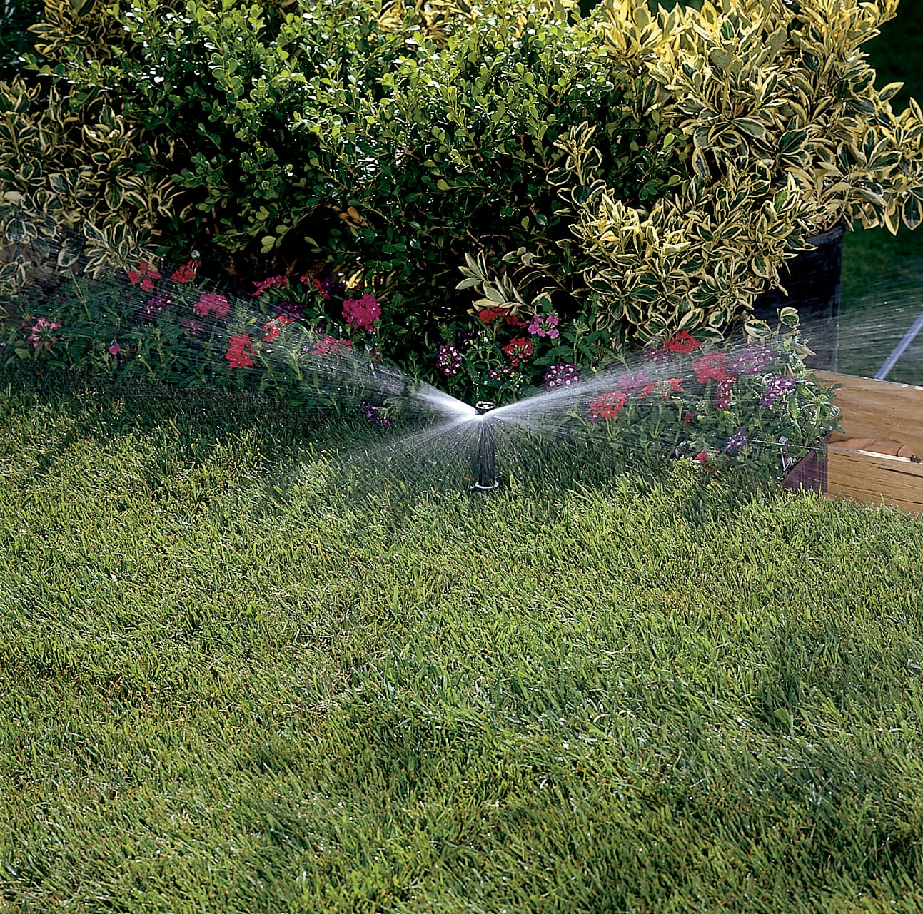 Sprinkler system watering a well-maintained garden