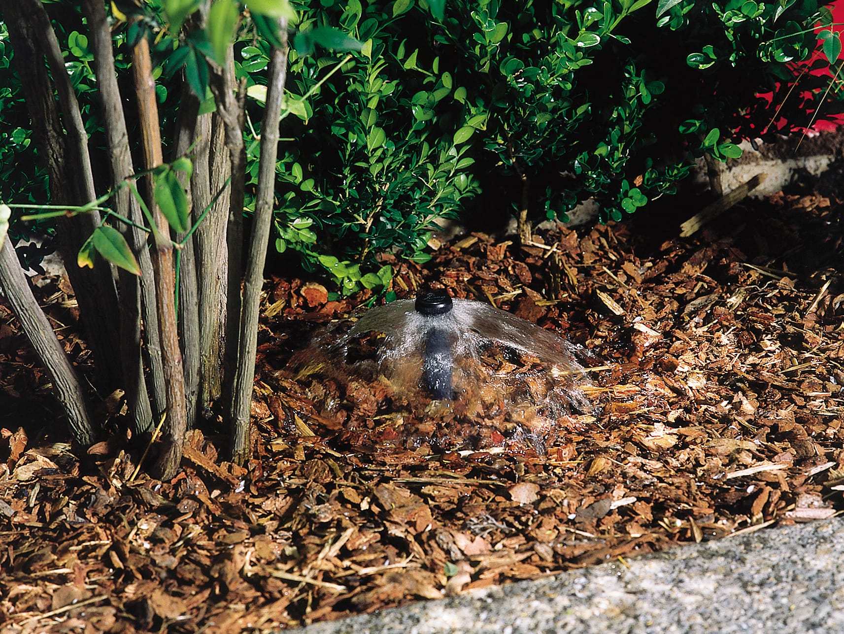 Irrigation system with a smart controller