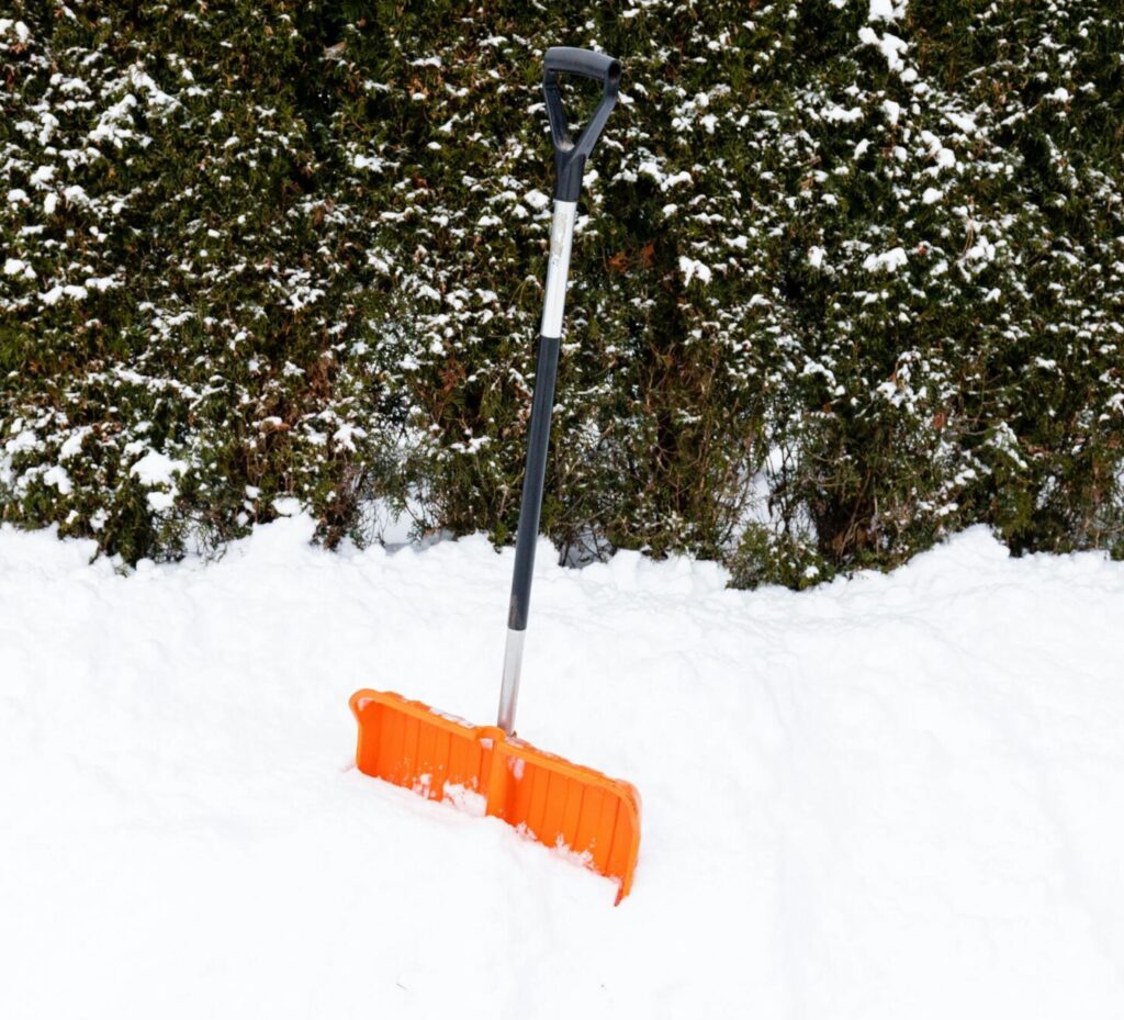 pexels-photo-13422393-13422393 snow removal etobicoke- A vibrant orange snow shovel is placed upright in the snow with a green hedge background.