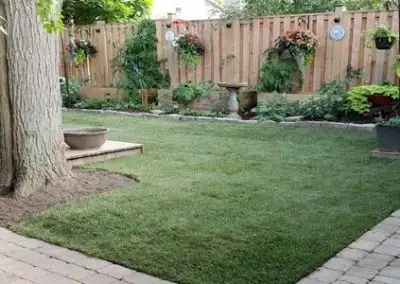 Landscaping Contractors Mississauga